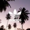 adidaslove06